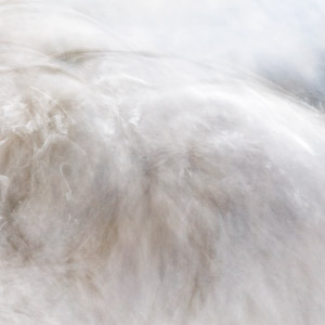 Abstract section thumbnail