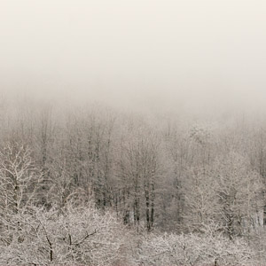 Landscape section thumbnail